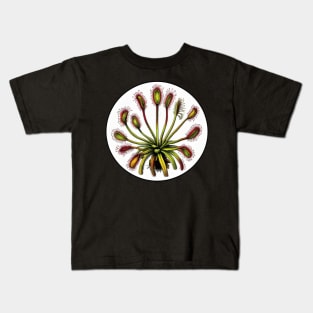 Giant Sundew Plant Beautiful Botanical Drosera Illustration Kids T-Shirt